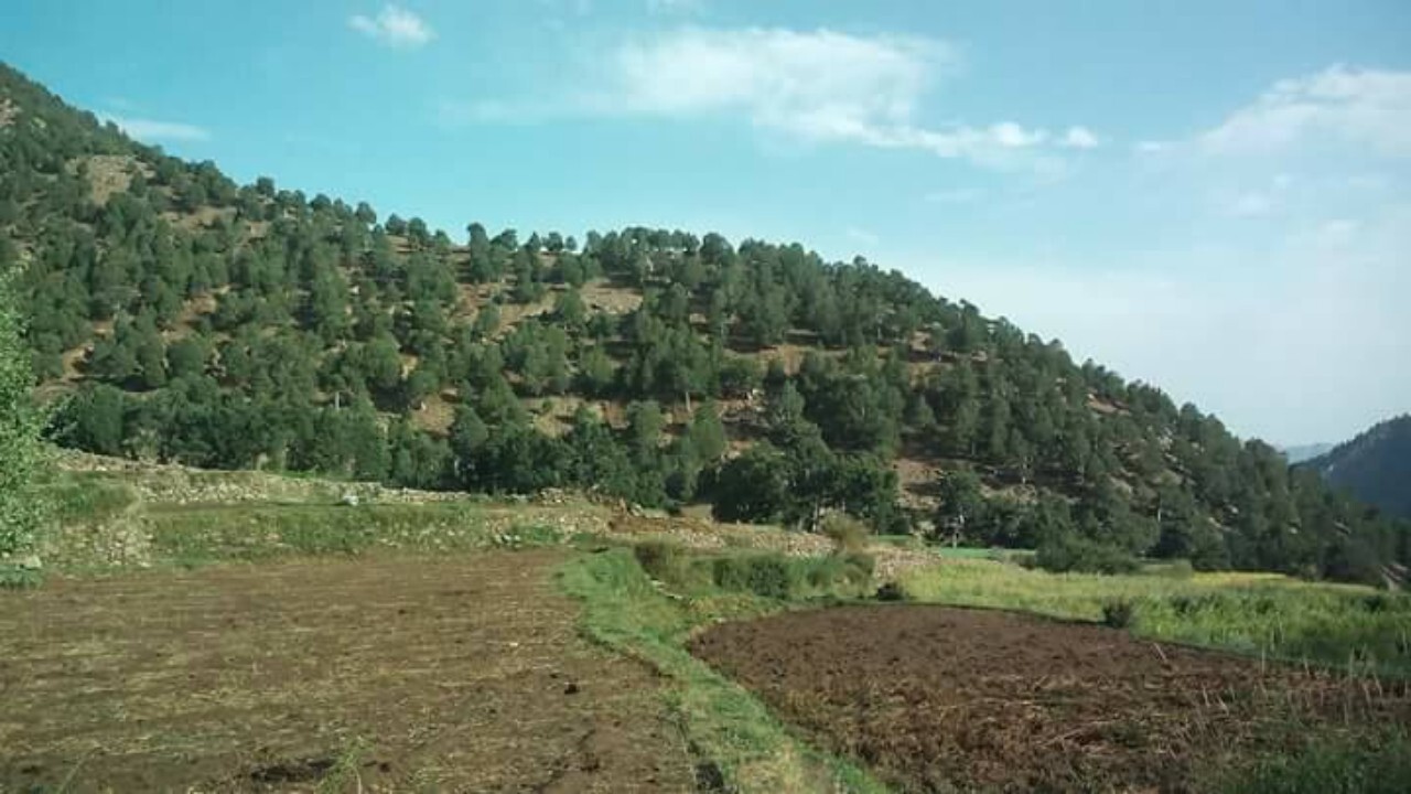 درگیری میان روستائیان در پکتیا ۱۱ زخمی برجای گذاشت