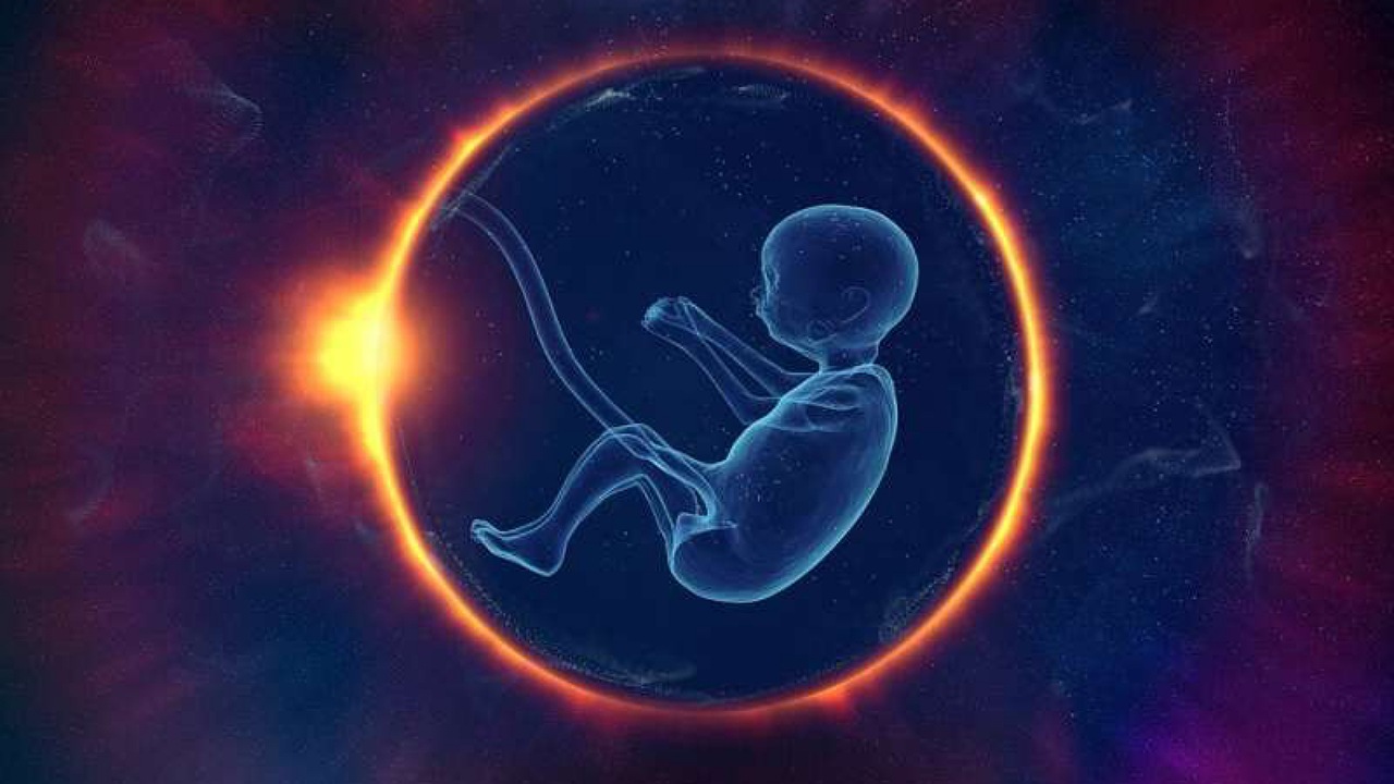 نوزادان فریز شده‌ای که به دنیا می‌آیند