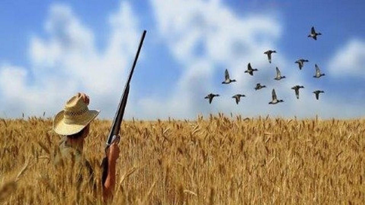 دستگیری شکارچی غیرمجاز در همدان