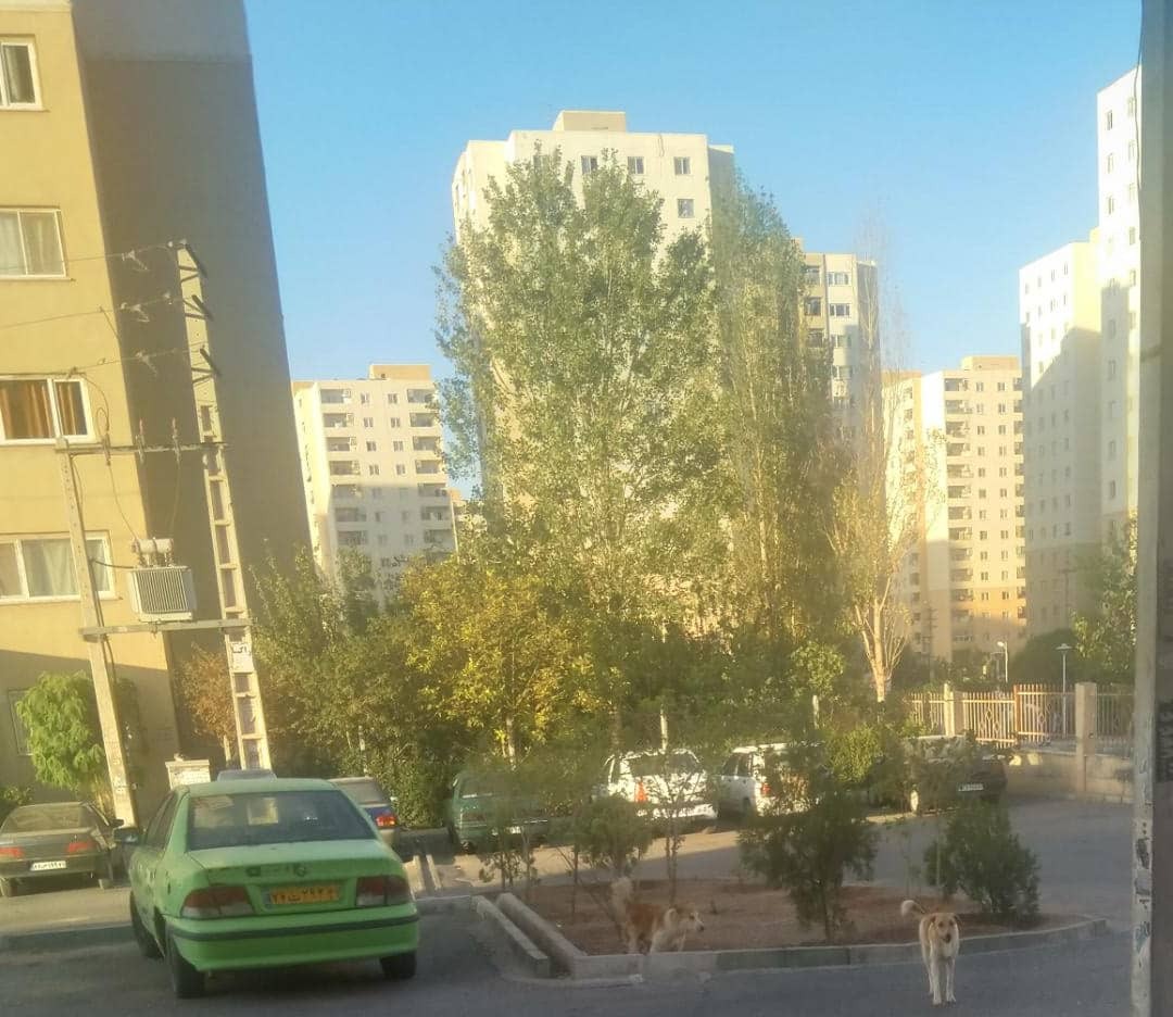 از
