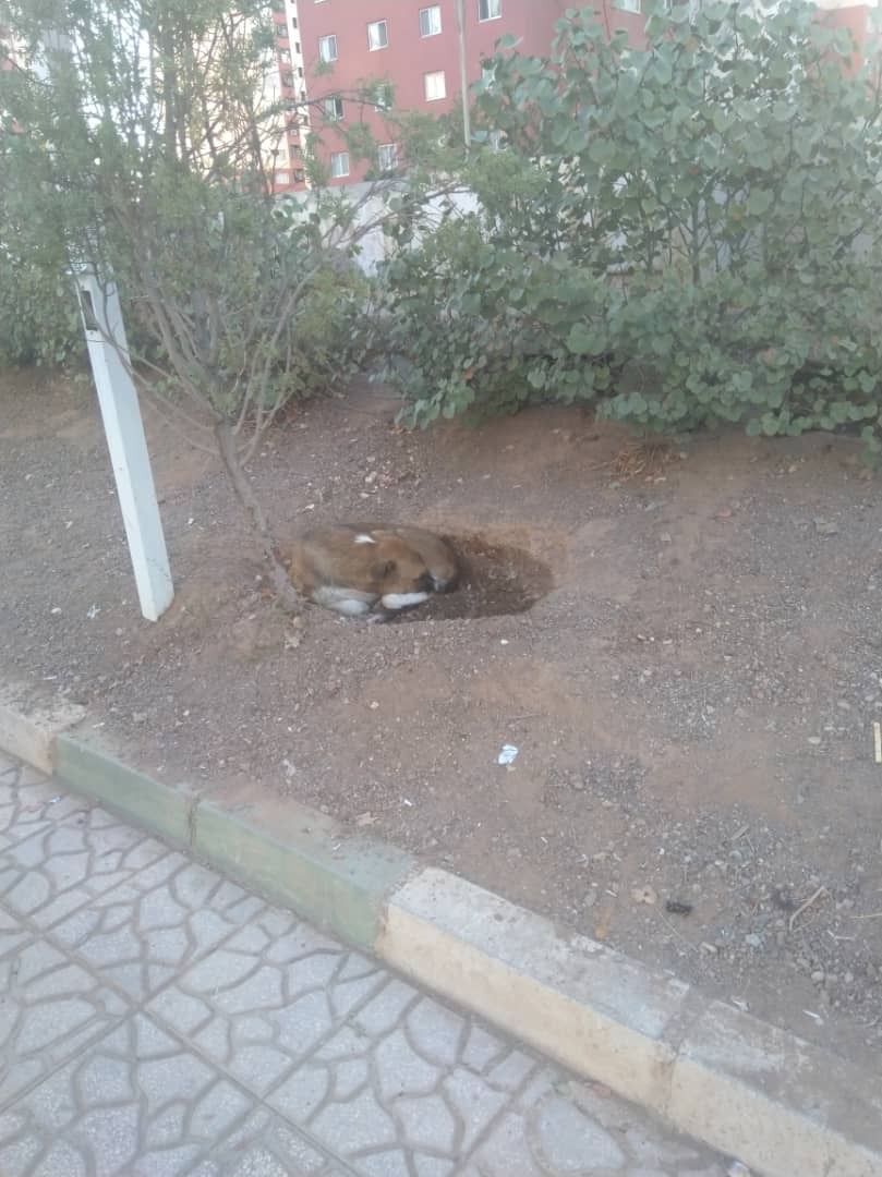 از