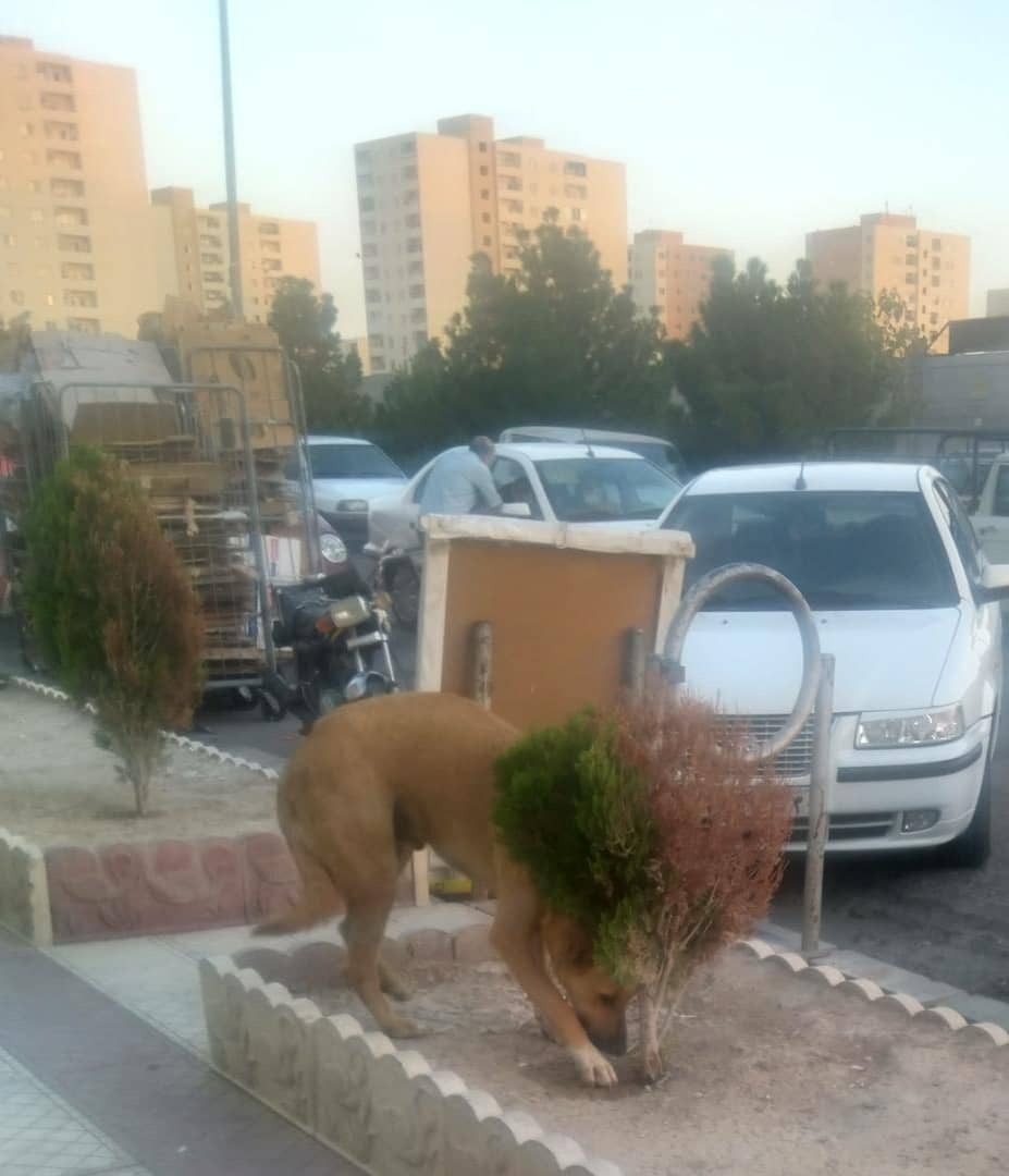 از