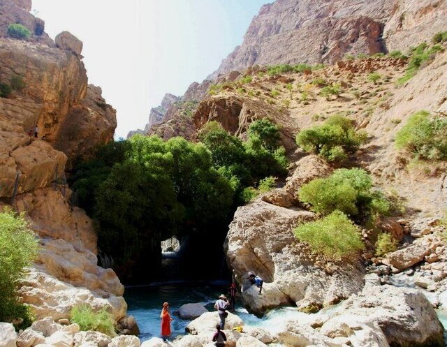 آب ملخ