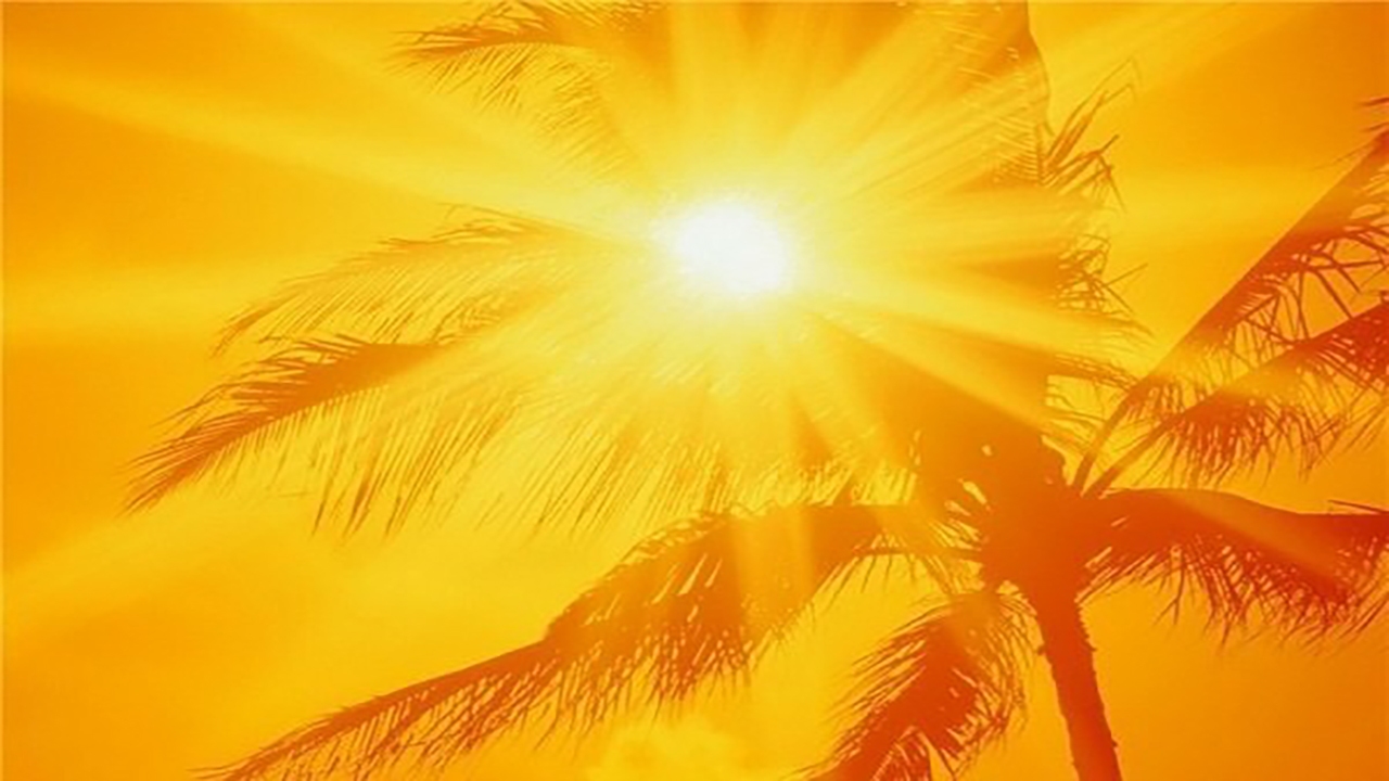 وزش بادهای جنوبی در استان بوشهر/ شرجی هوا افزایش می‌یابد