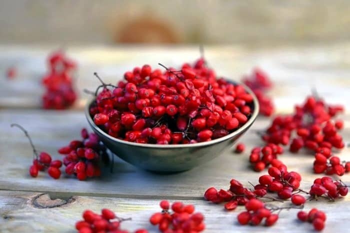 هزینه خرید زرشک چقدر است؟