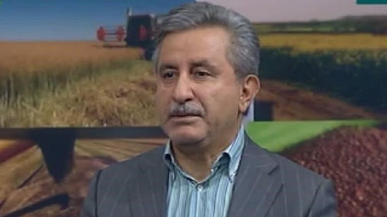اجرای الگوی کشت از اول مهر نیازمند همکاری دستگاه‌ها