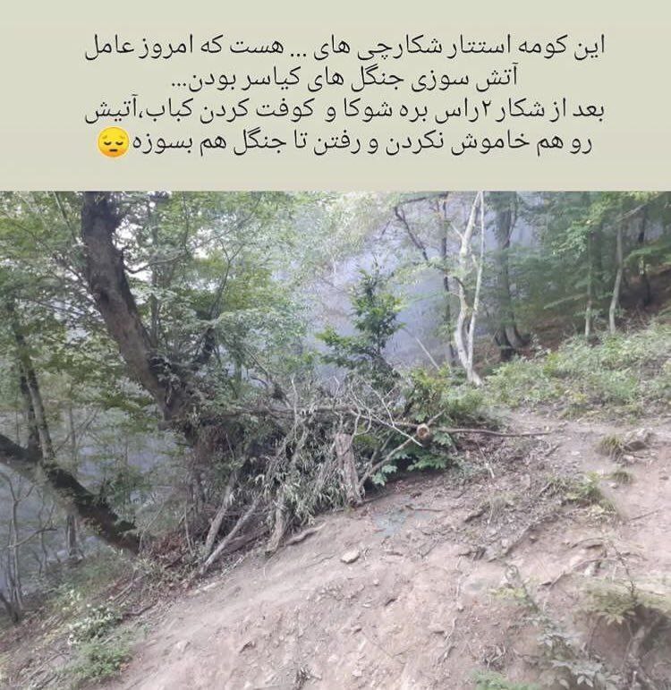 نابودی دو هکتار جنگل به دلیل شکم چرانی شکارچیان + تصویر