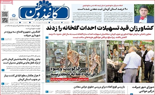 کاغذ وطن