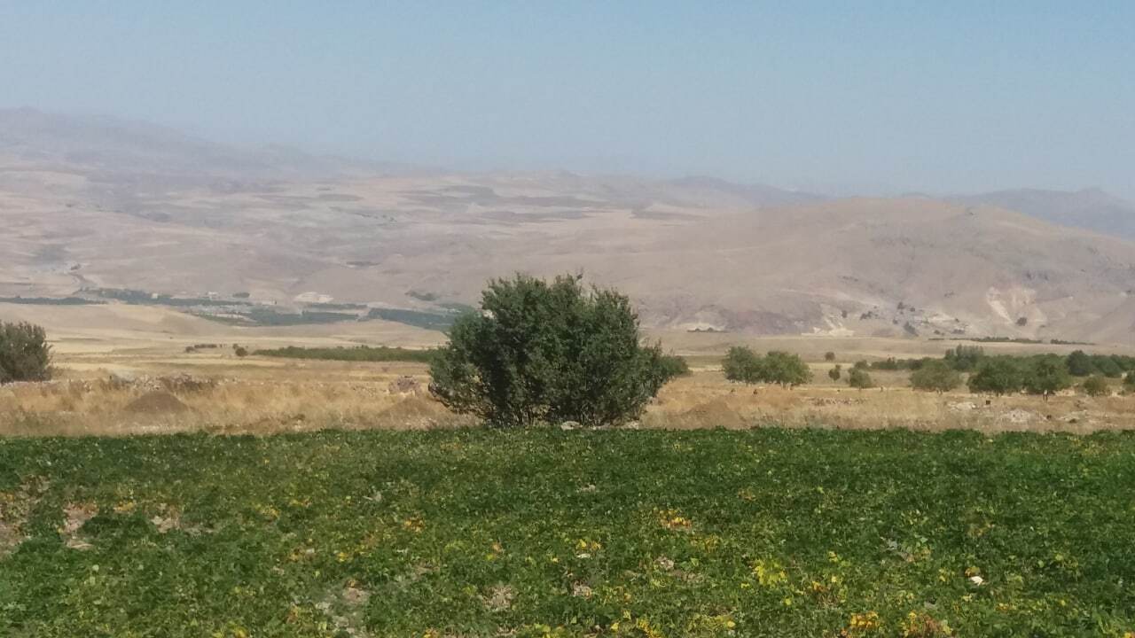 از