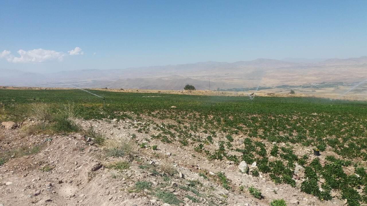 از