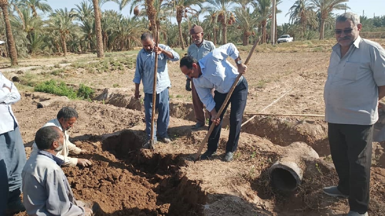 آغاز برداشت روناس از مزارع بافق