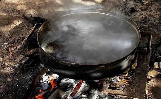 خراسان رضوی غرق در زیبایی های برداشت انگور +عکس