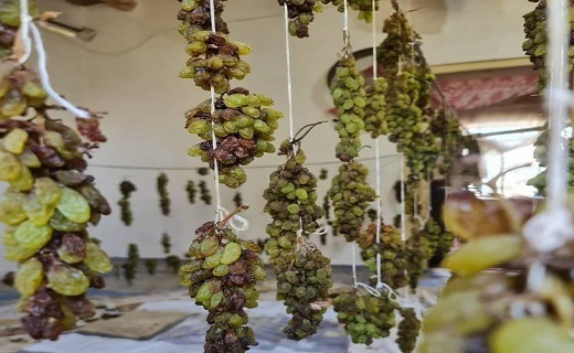خوشه انگور