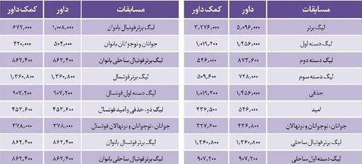 جزئیات دستمزد داوران ایرانی در لیگ&zwnj;های مختلف