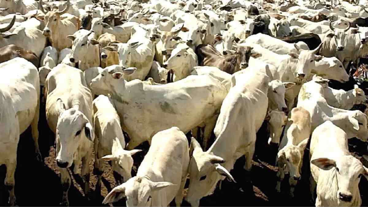 اگر ادعای تیزبینیتان میشود، این معماها را حل کنید! اگر ادعای تیزبینیتان میشود، این معماها را حل کنید!