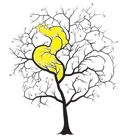 اگر ادعای تیزبینیتان میشود، این معماها را حل کنید! اگر ادعای تیزبینیتان میشود، این معماها را حل کنید!