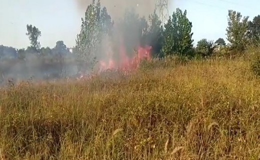 مهار آتش سوزی گسترده علفزارهای جاده لاکان رشت + تصاویر مهار آتش سوزی گسترده علفزارهای جاده لاکان رشت + تصاویر