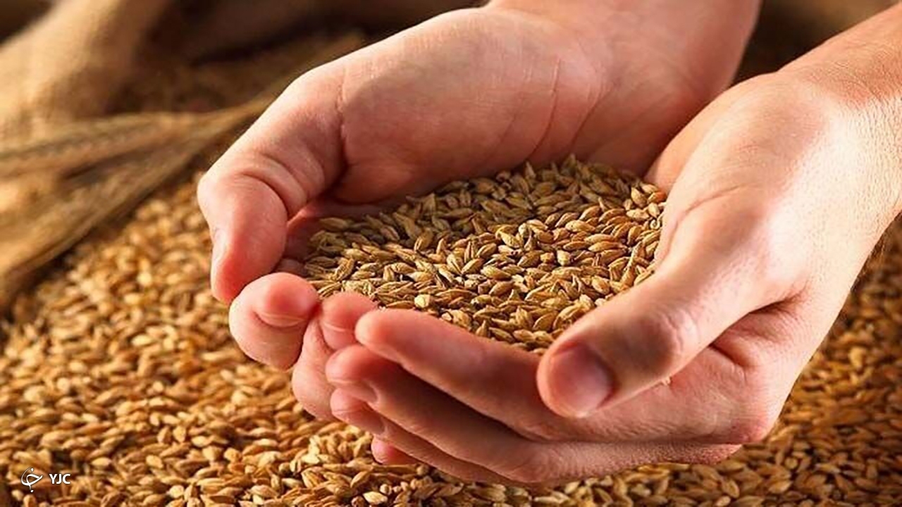 ساماندهی و جمع آوری بیش از ۴ میلیارد تومان زکات در زنجان