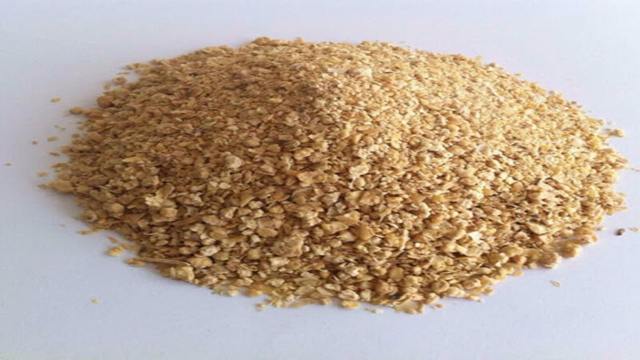 افزایش کیفیت چربی شیر با استفاده از کنجاله زیتون