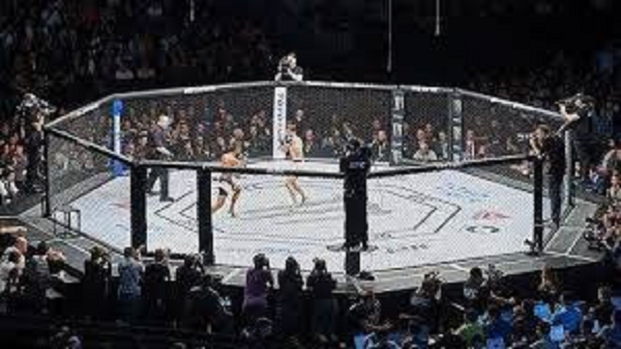 راه اندازی رشته ورزشی MMA در کرمانشاه