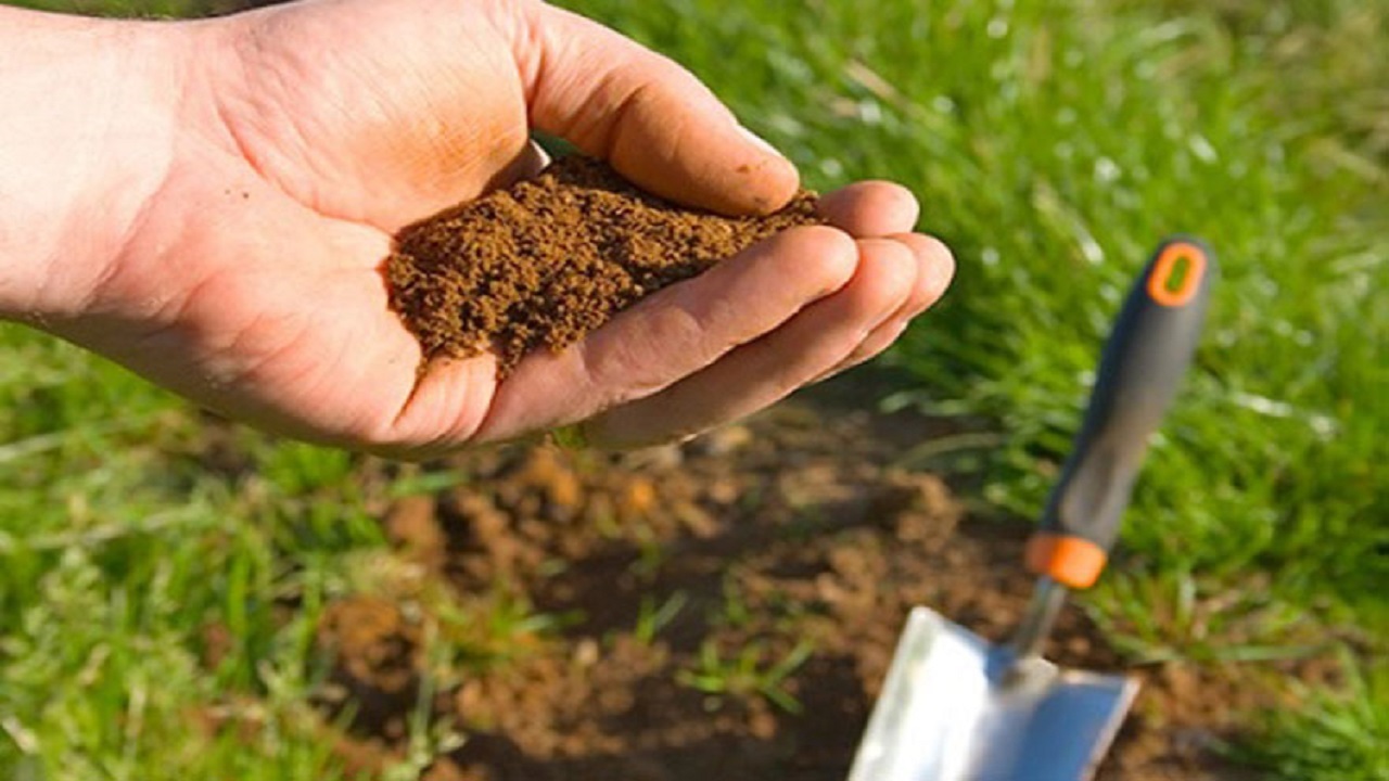 ارائه خدمات آزمون خاک به کشاورزان گلستانی
