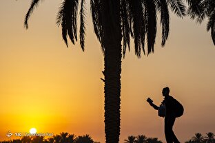 مسیر پیاده روی زائران و عاشقان حسینی (ع) از کوفه تا کربلا از طریق‌العلما