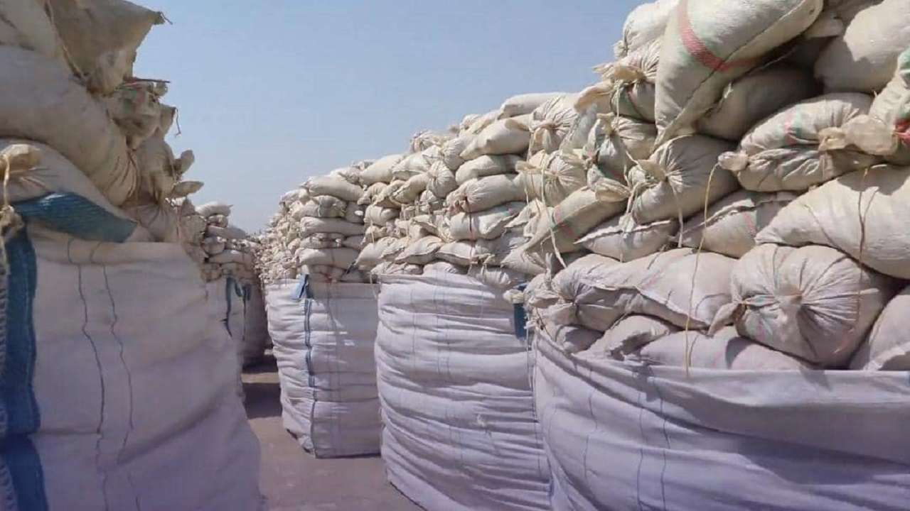 صادرات محصولات کشاورزی به کویت افزایش یافت