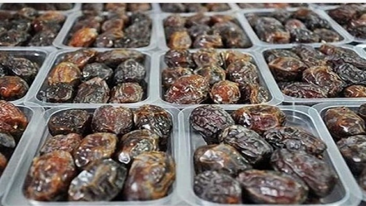 رسیدن نخل کاران خراسان جنوبی به آرزوی دیرینه شان
