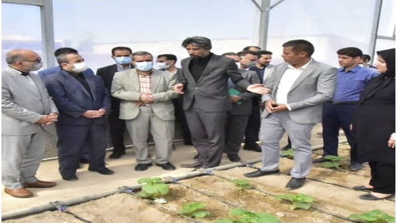گلخانه سبزی و صیفی در شهرستان بیرجند افتتاح شد