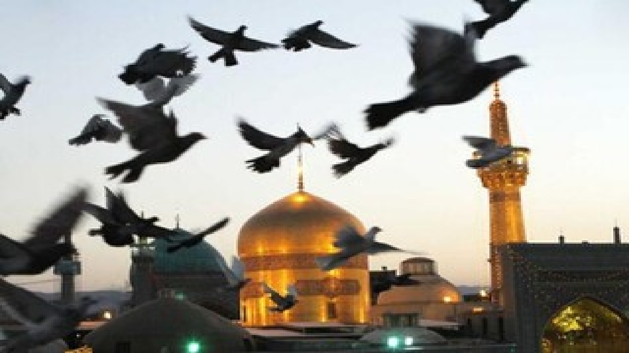 دلم هوایی حرم مطهر امام رضا است