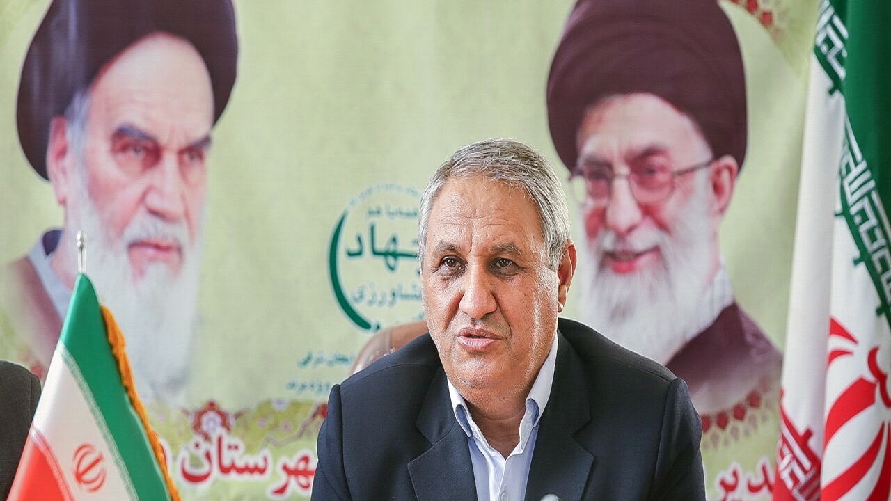 تغییر الگوی کشت نیازمند درآمد ثابت کشاورز است