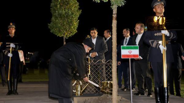 غرس نهال