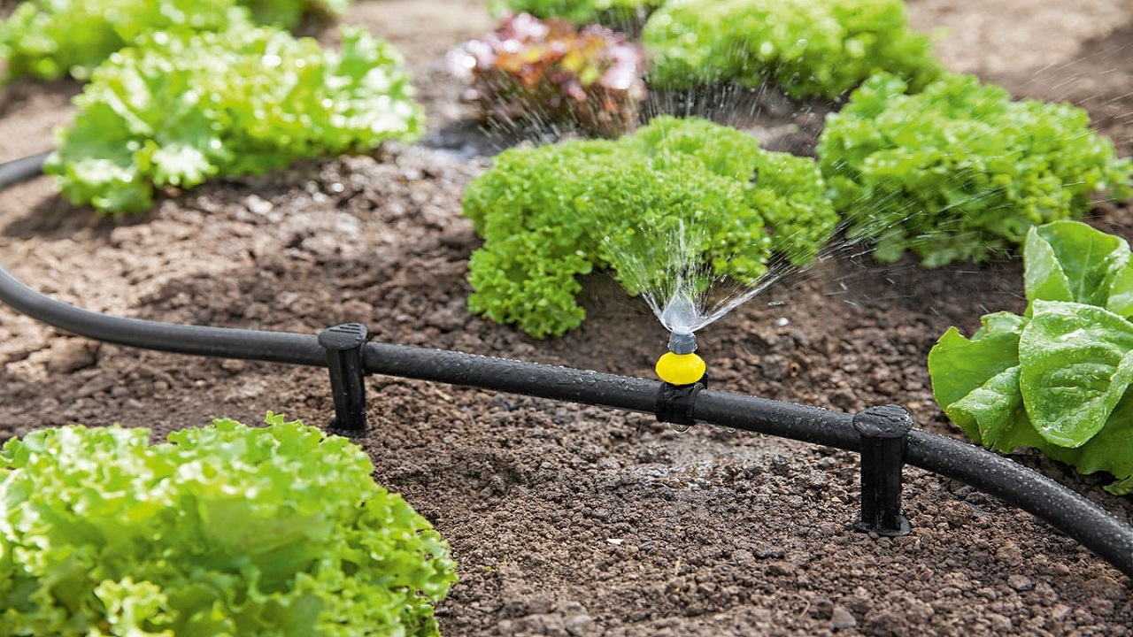 مکانیزه کردن آبیاری فضای سبز در زنجان