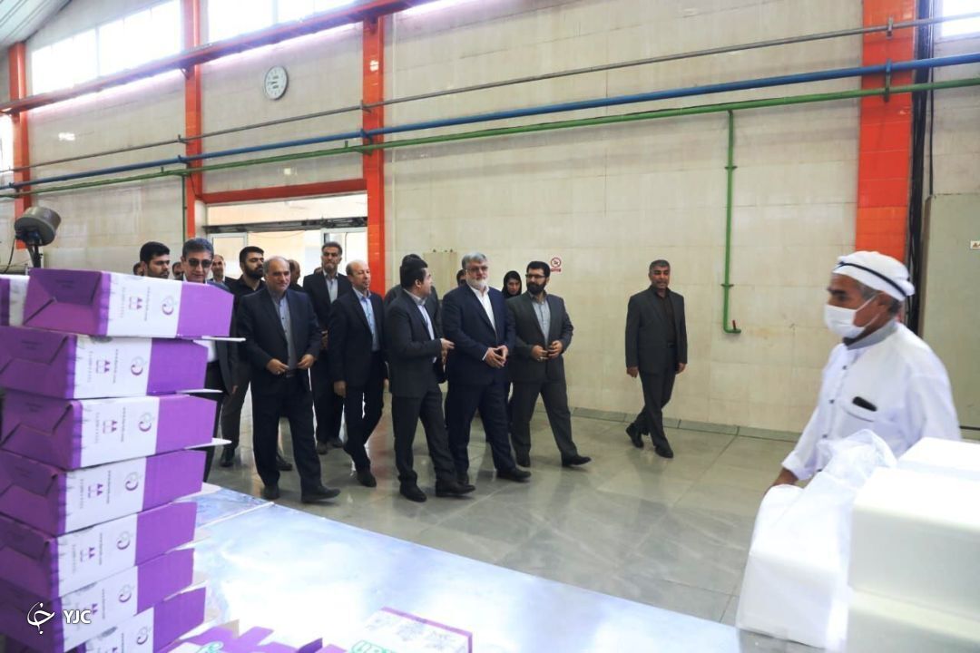 حرکت به سمت فرآوری گیاهان دارویی یک ضرورت است