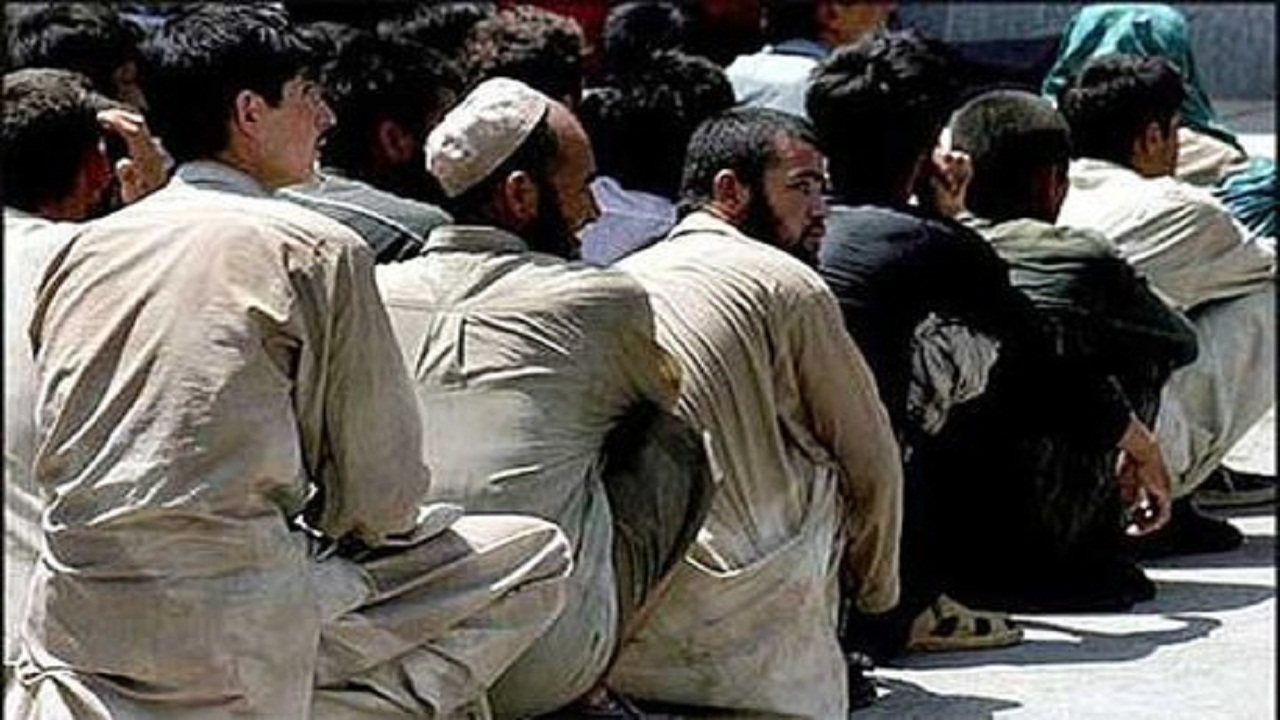 هشدار طرد اتبلاع غیرمجاز در استان سمنان!