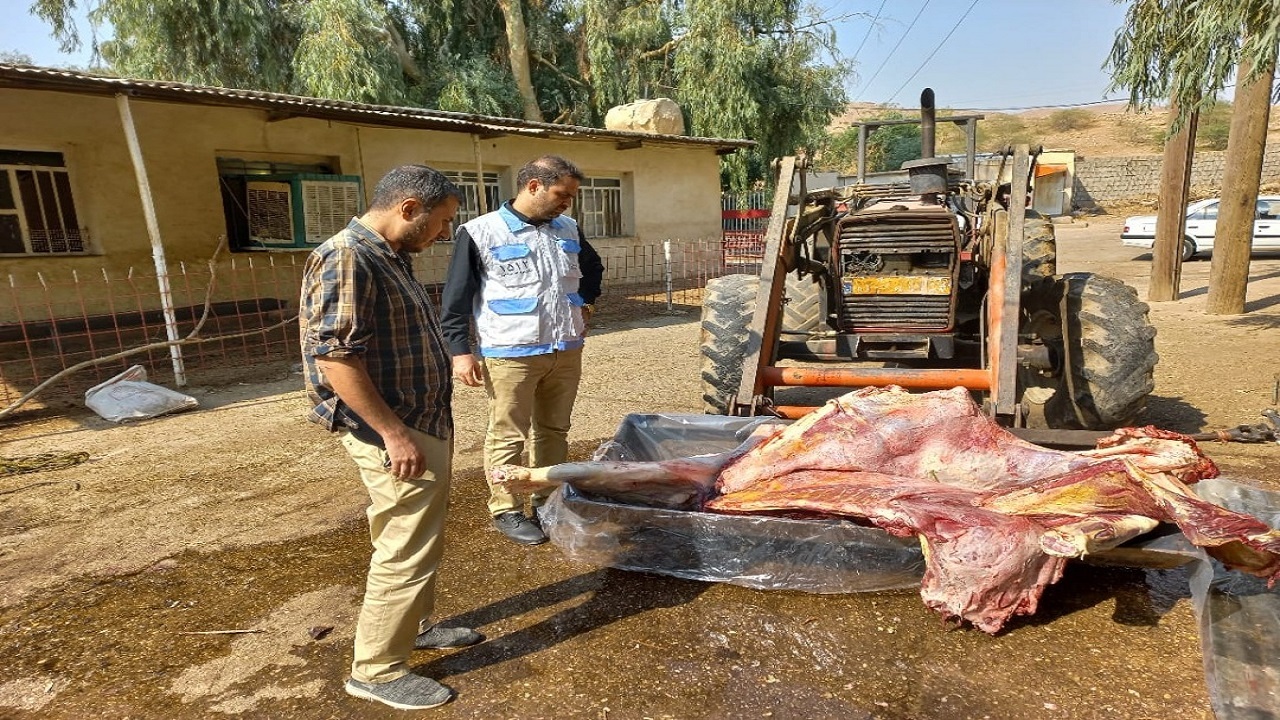 کشف و ضبط کشتار غیر مجاز دام در یکی از دامداری‌های مسجد سلیمان