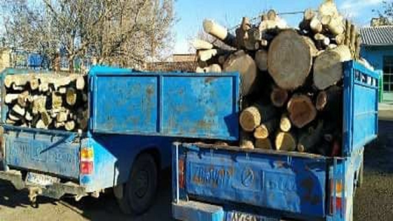 کشف سه تن چوب آلات قاچاق جنگلی در استان اردبیل