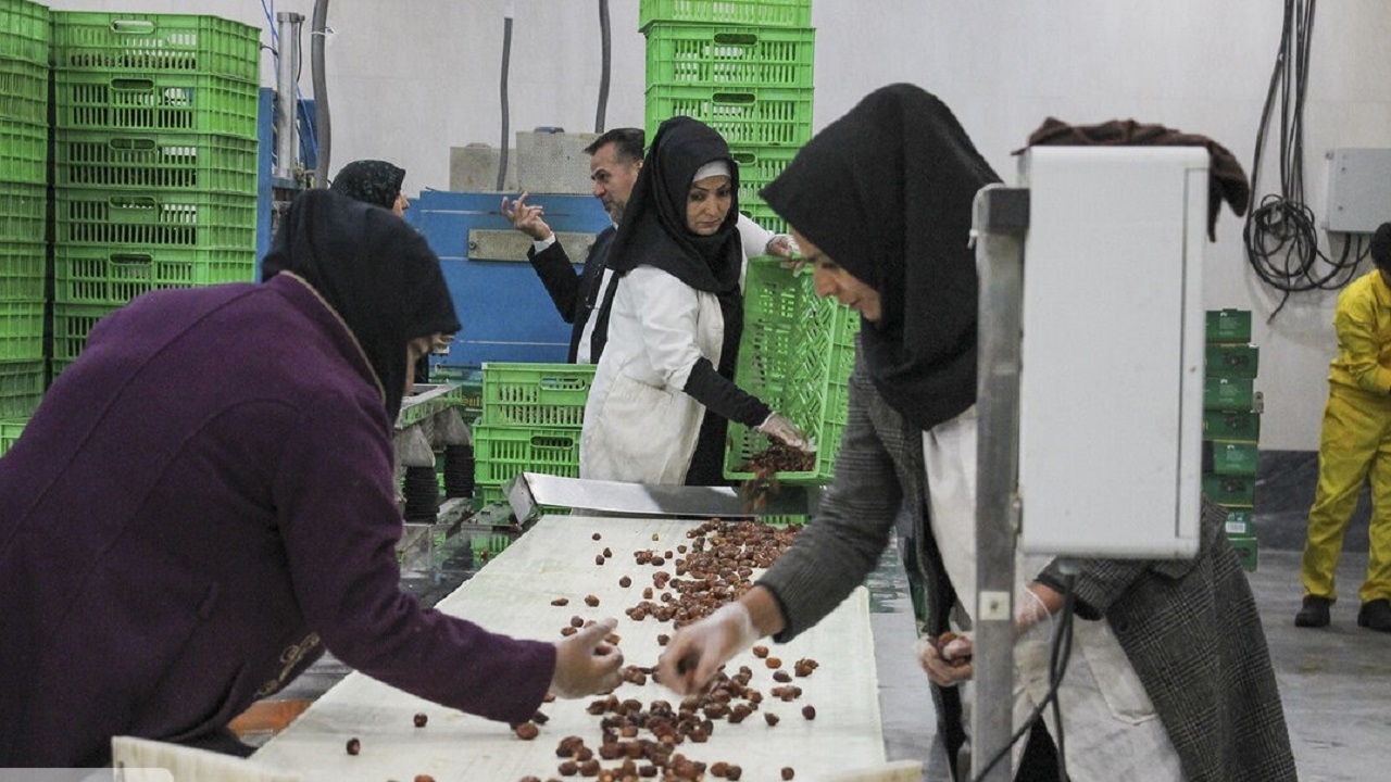۶ طرح تعاونی در اندیمشک افتتاح می‌شود