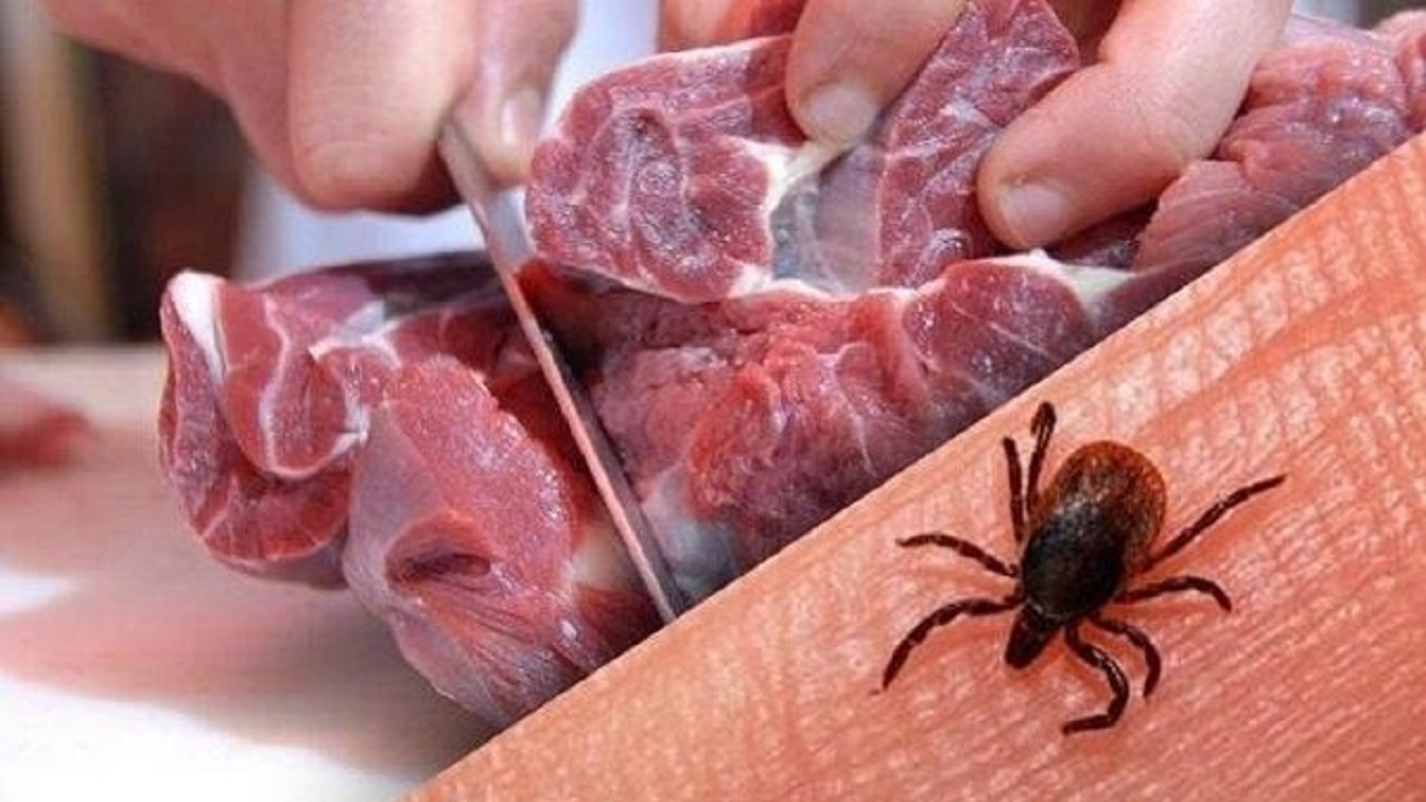 مرگ یک شهروند بهبهانی بر اثر تب کریمه کنگو