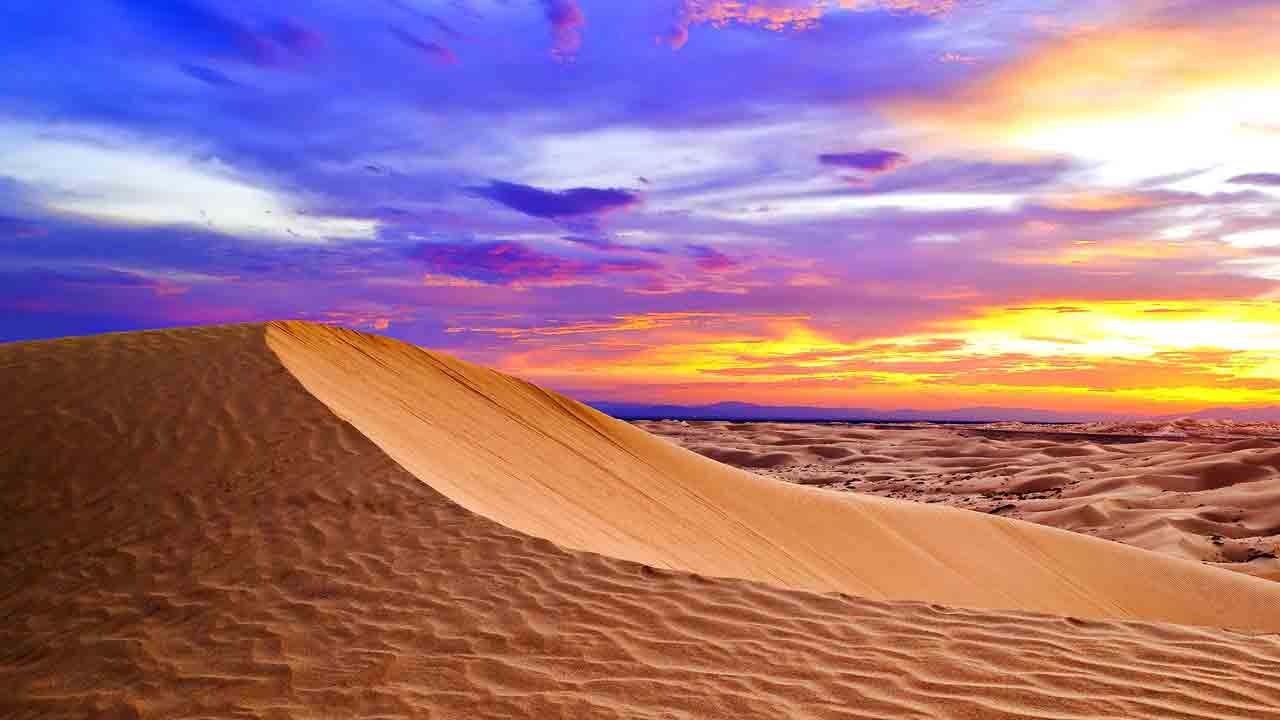 ۱۸ نکته درباره فواید بیابان‌ها و گونه‌های جانوری و گیاهی آن