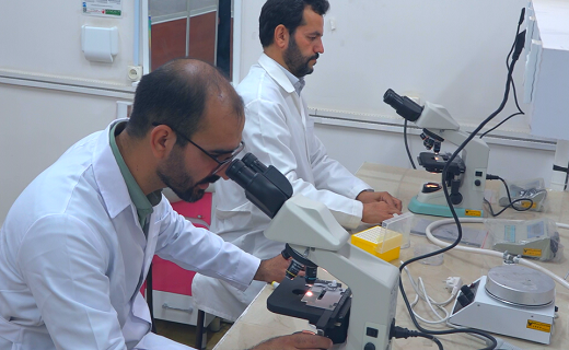 ازمایشگاه