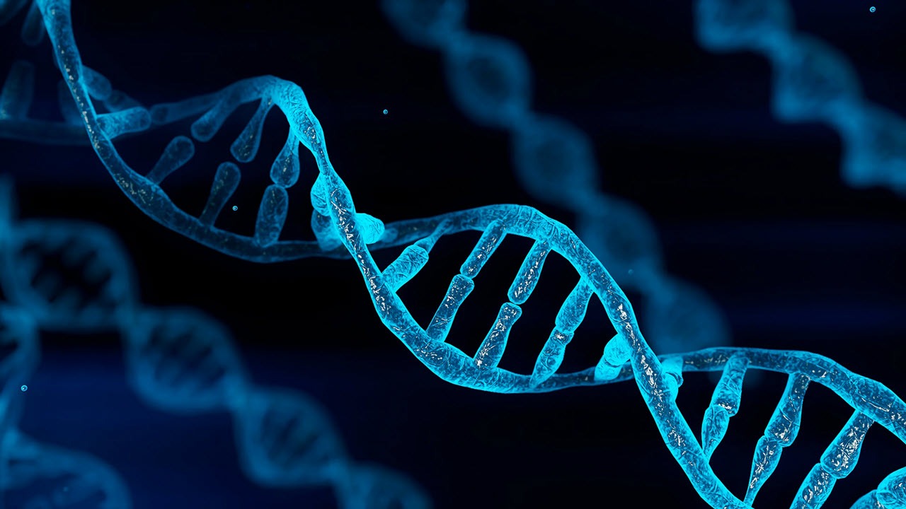 کشف روش جدید دستکاری DNA برای ذخیره طولانی داده