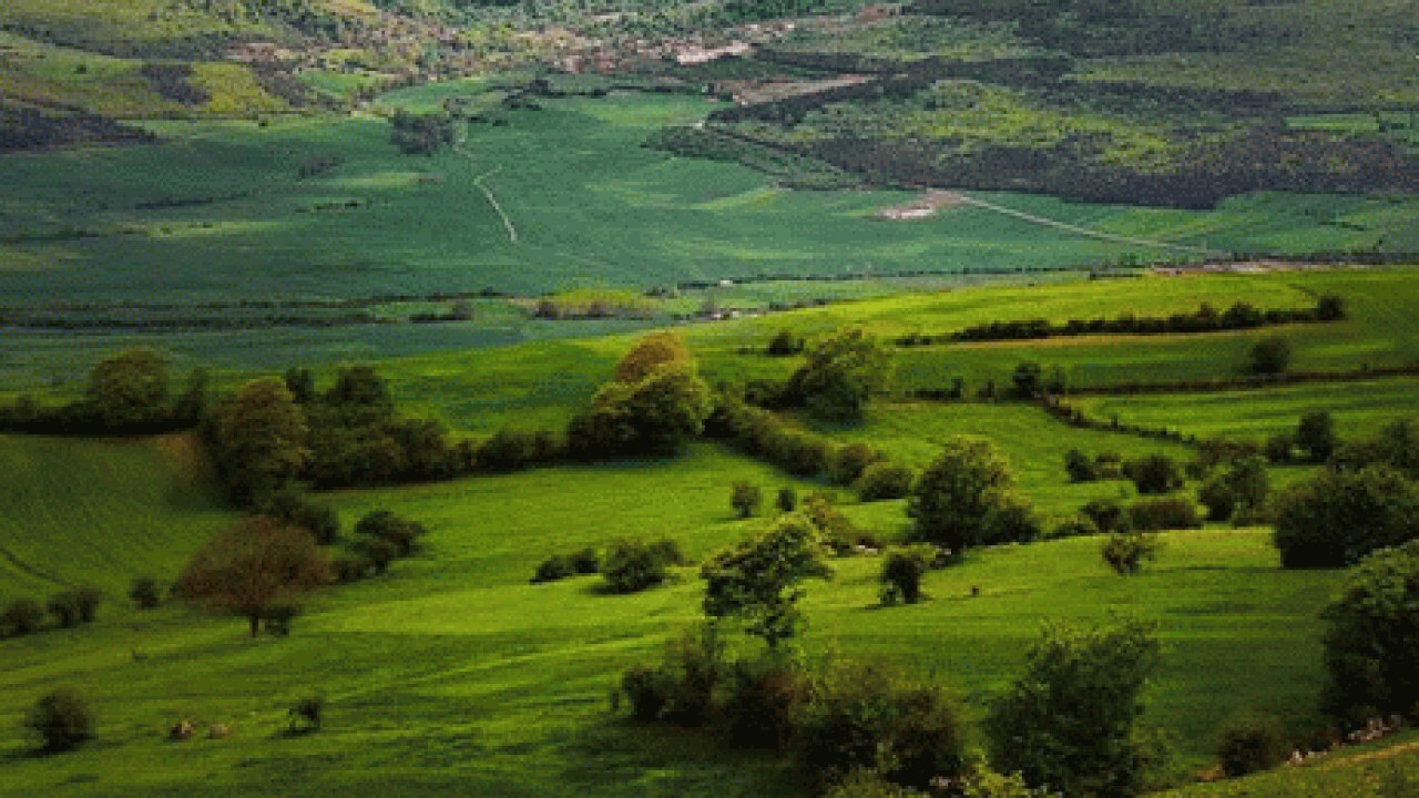 آزاد سازی اراضی تصرفی در سوادکوه