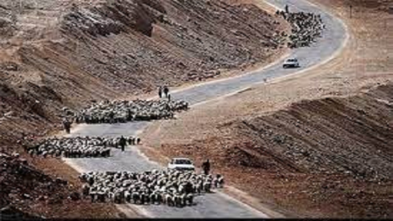 ۹۰۰ کیلومتر راه عشایری گچساران نیاز به مرمت دارد