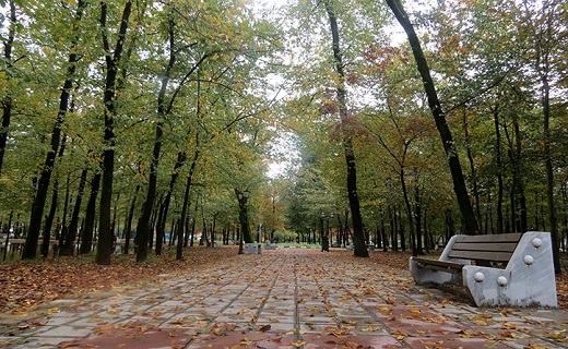 باغ محتشم رشت