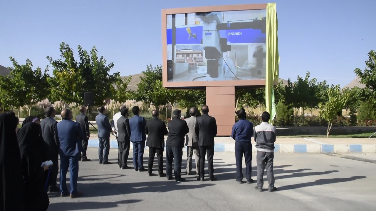 تلویزیون شهری