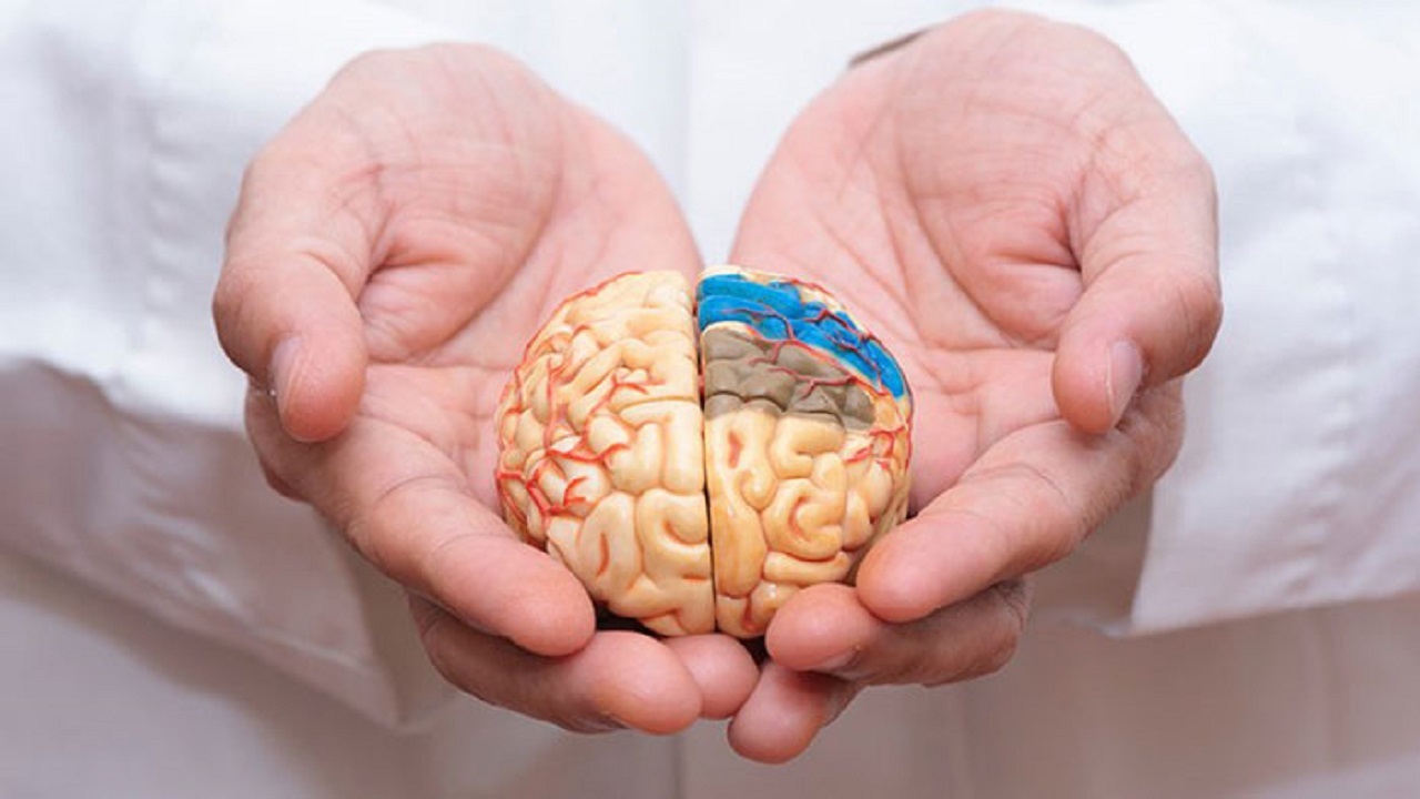 تحریک مغز بیماران مبتلا به آلزایمر برای یادآوری مجدد