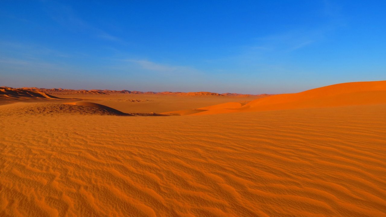 نمایی نزدیک از باتلاق شنی