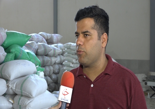 حسن نژاد شالیکار