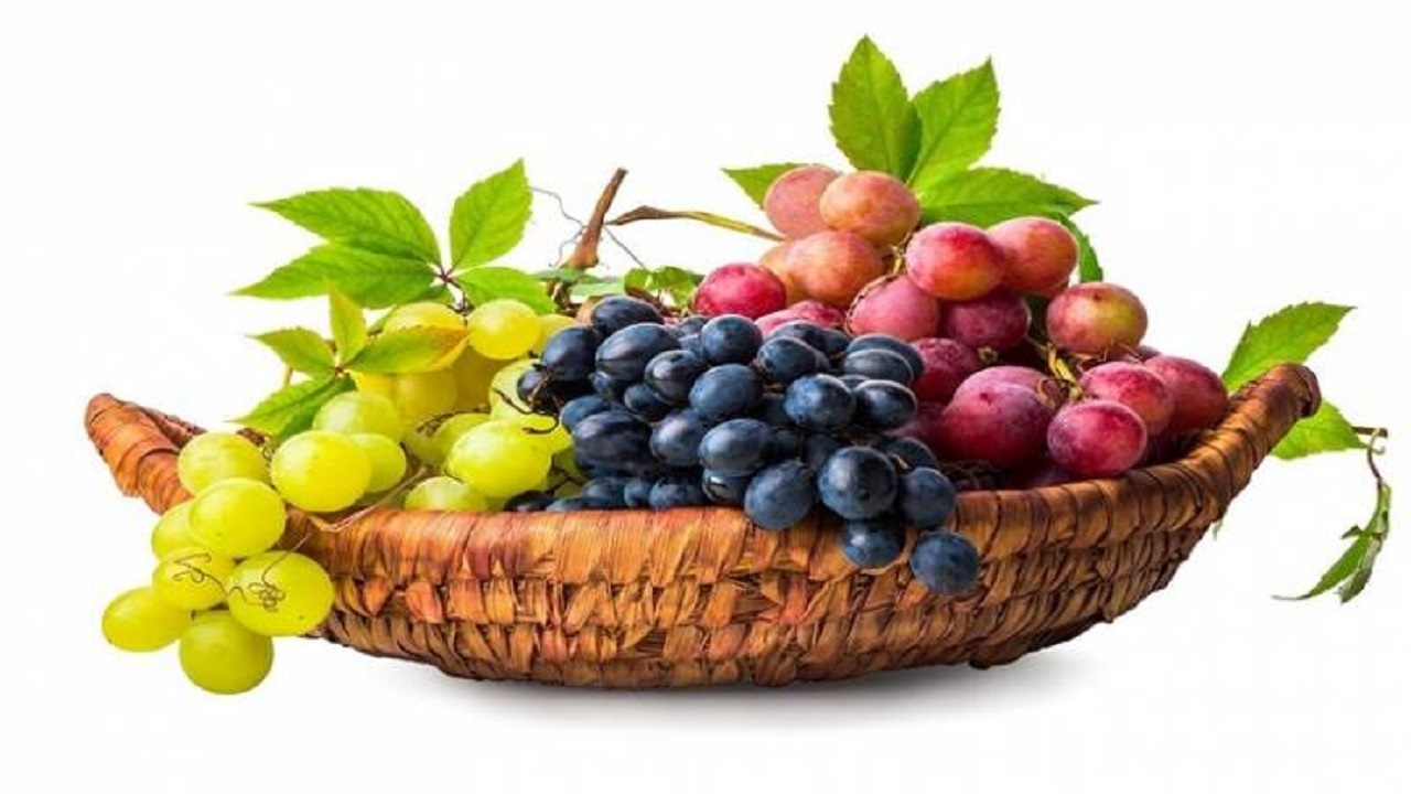 چه نوع انگوری مفیدتر است؟